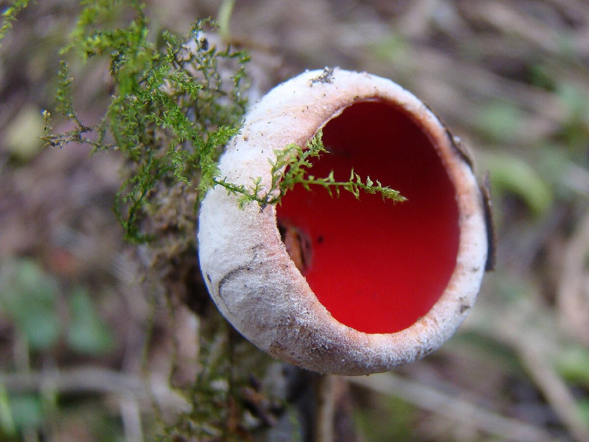 Фото автора.