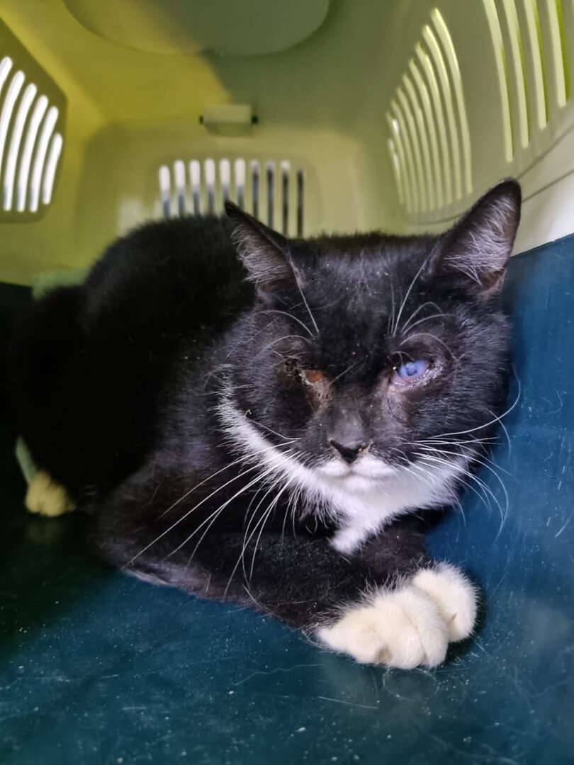 Едем в клинику на осмотр