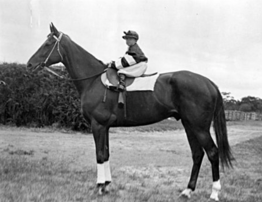 Phar Lap и сын Тэлфорда