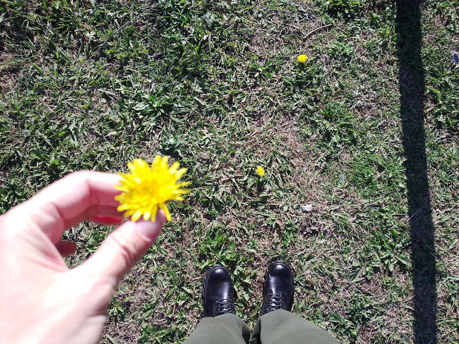 декабрь в Адлере