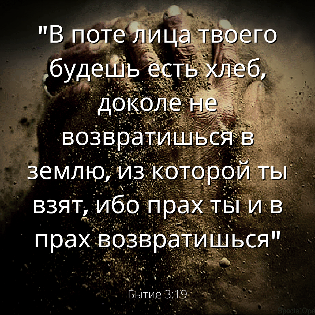 В поте лица будешь добывать хлеб. Ибо прах ты и в прах возвратишься. Прах тебя возьми. Ибо прах ты и в прах возвратишься тату. Доколе мы не возвратился в неё, ибо мы прах ее.