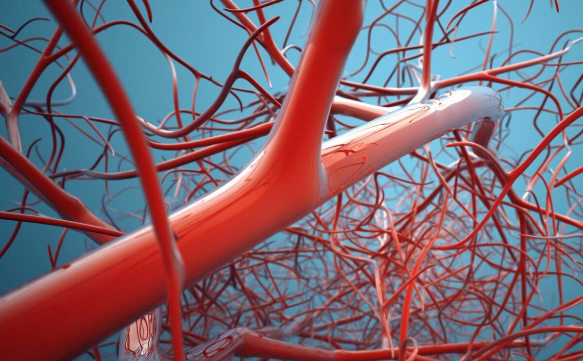 Источник: https://clck.ru/UBz9a