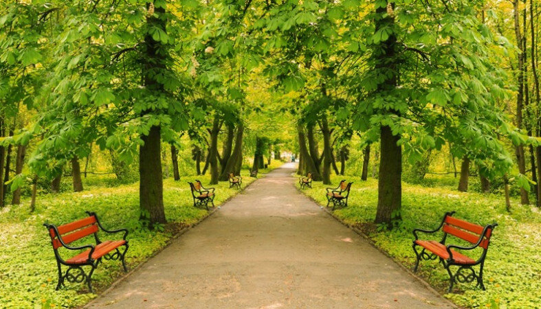 Фото из сети