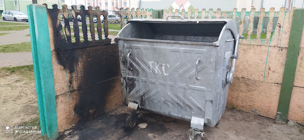 Личное фото автора.