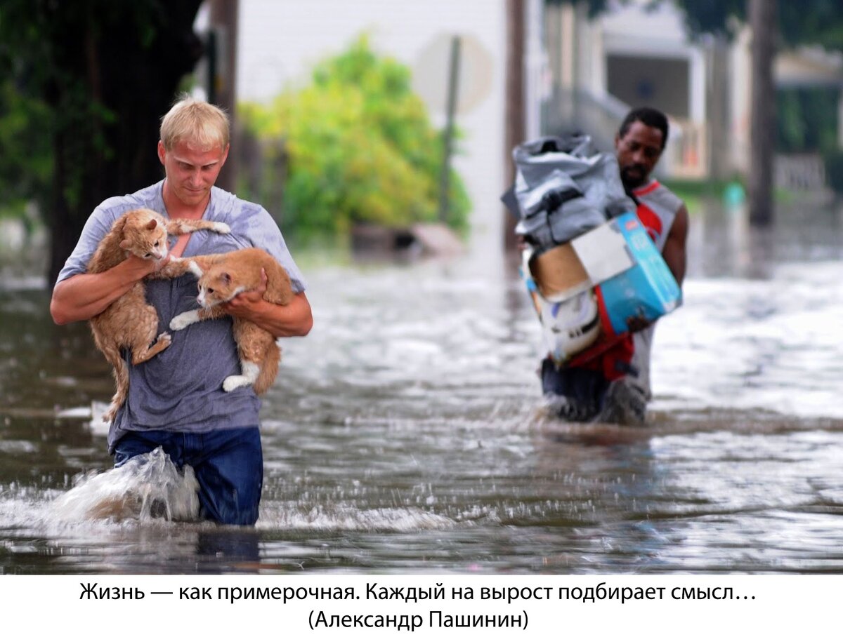 Фото  с сайта   aa-online.ru