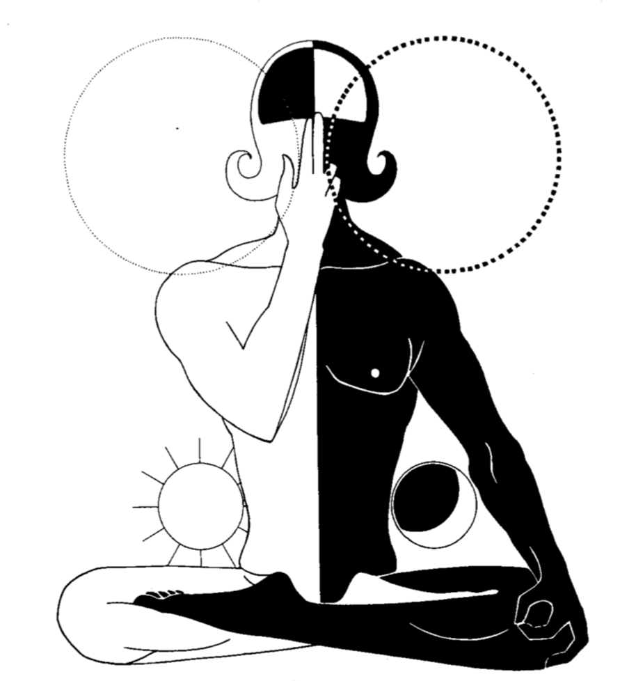 Рис. 2с. Нади шодханам.