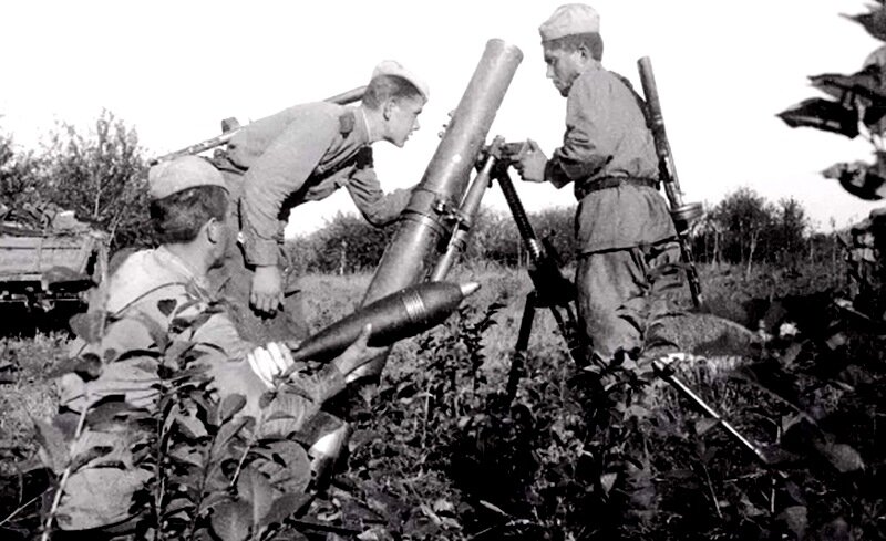 Фото из открытых источников.