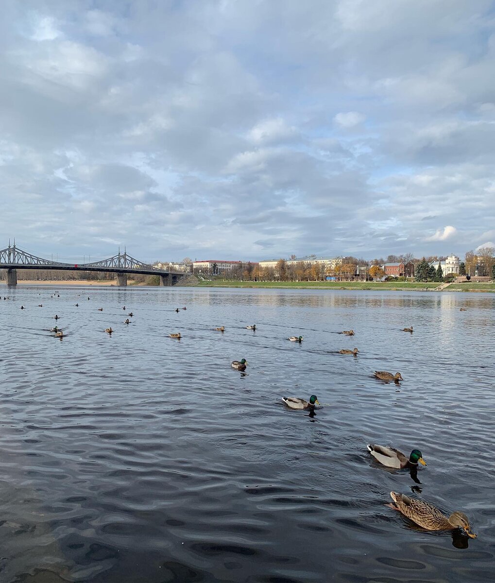 Покой и красота. Настоящая идиллия