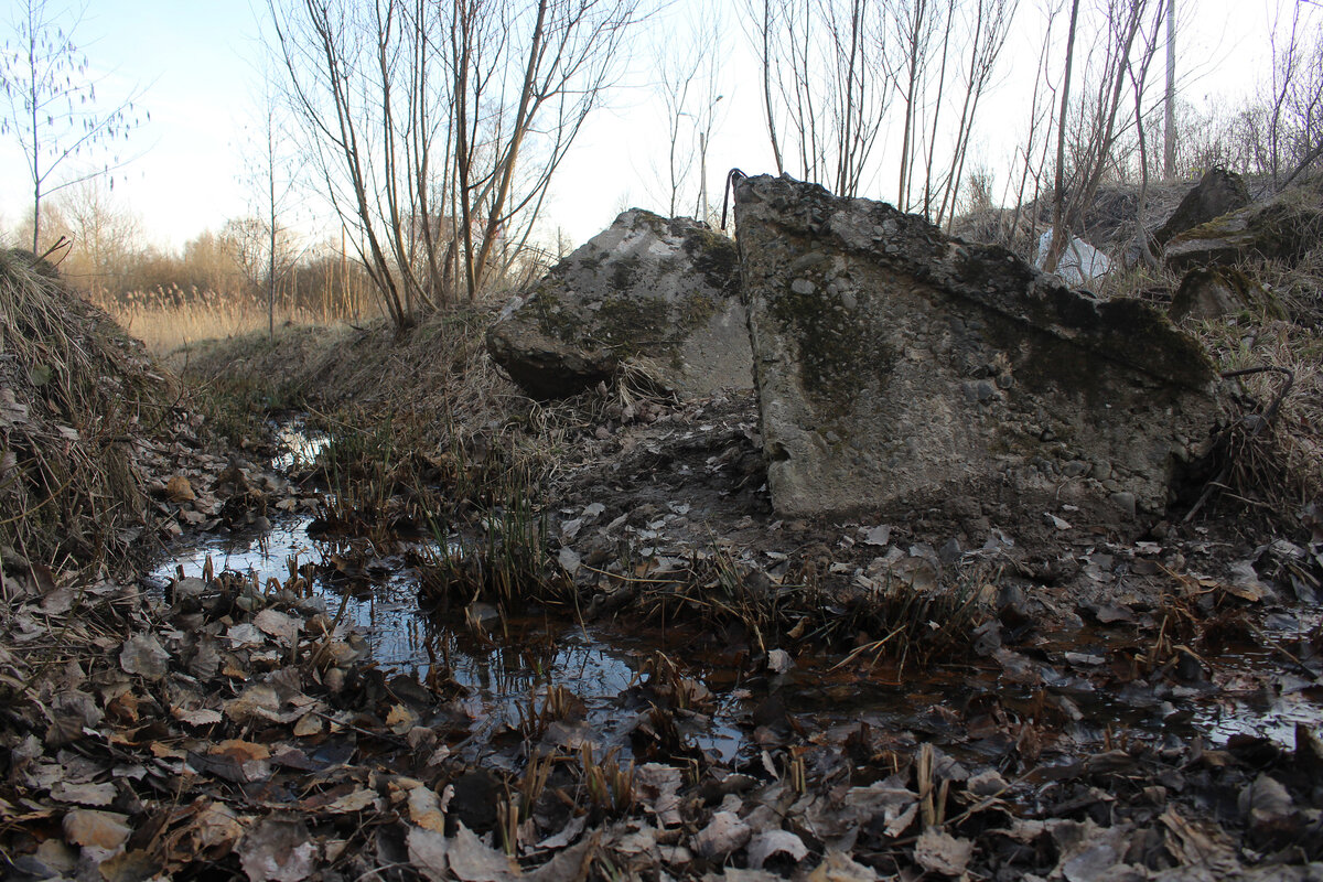 Санкт-Петербург. ул. Руставели
