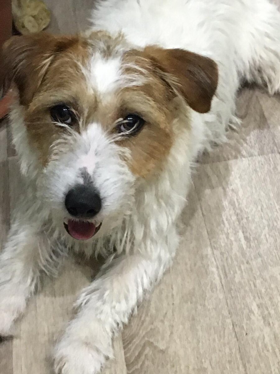 От прошлого до нового груминга прошло 3,5 месяца