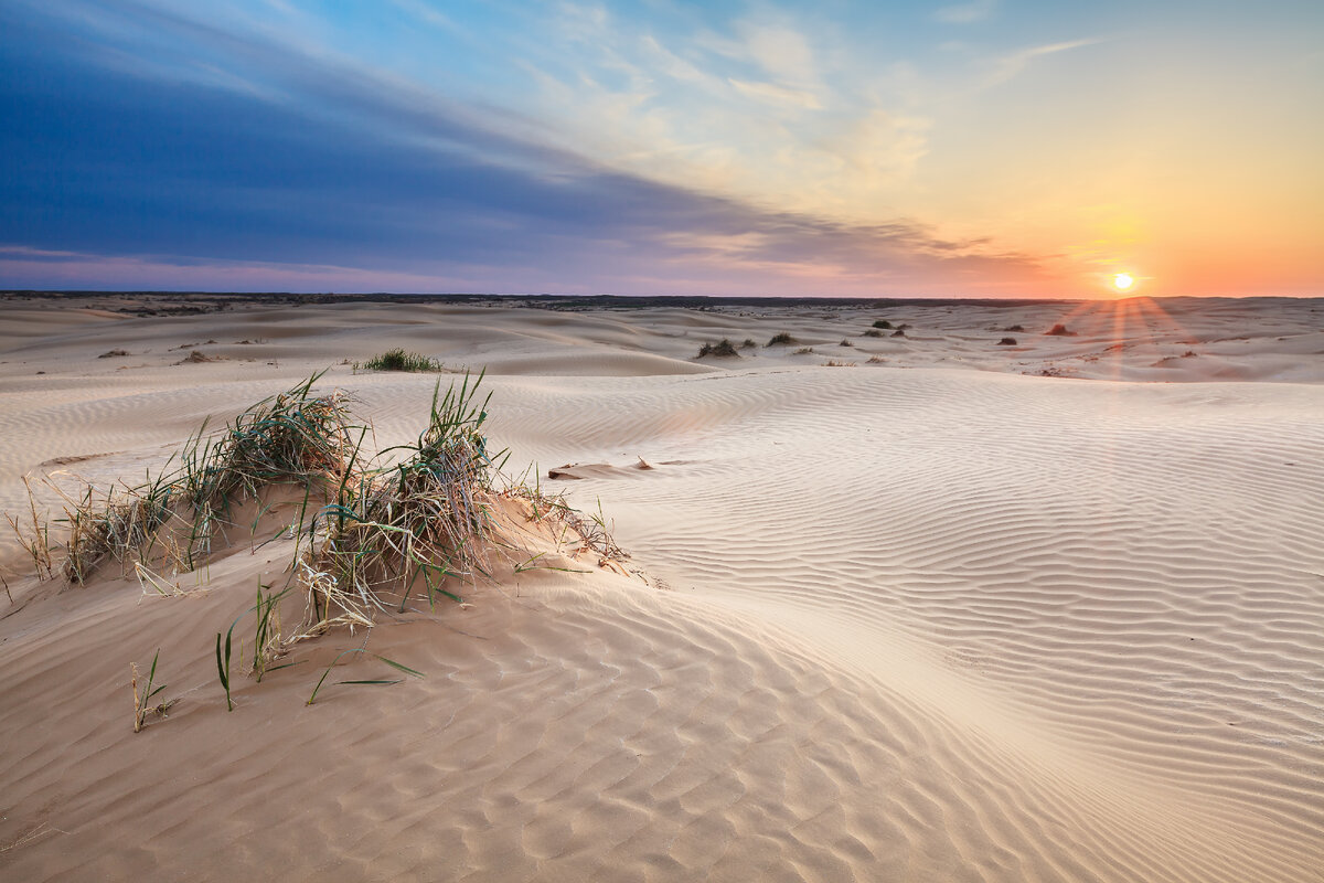 Desert на русском. Астрахань Пески Барханы. Астрахань полупустыня пустыня. Полупустыни и пустыни Астрахань. Астрахань пустыня Бархан.