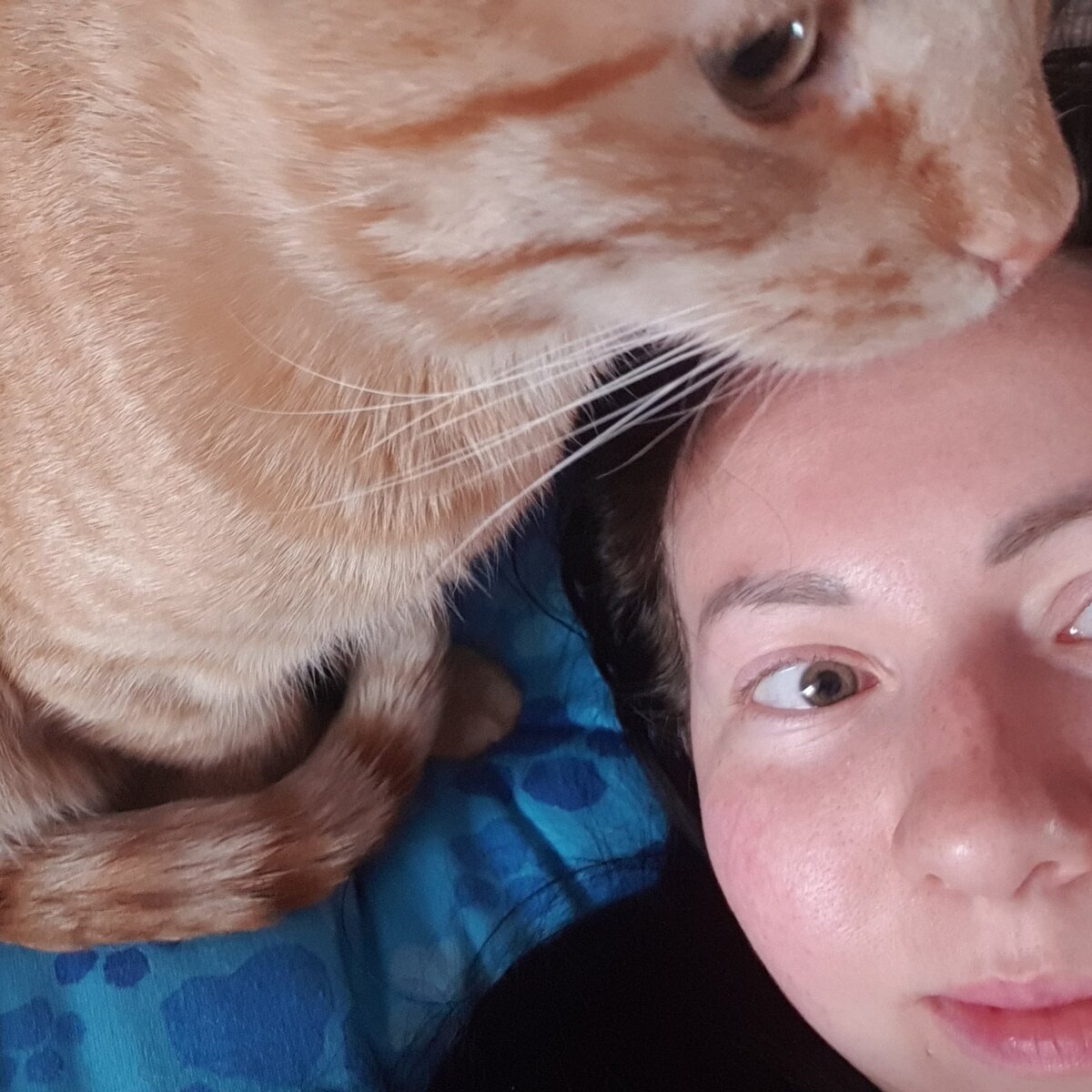 Утреннее селфи с Детройтом