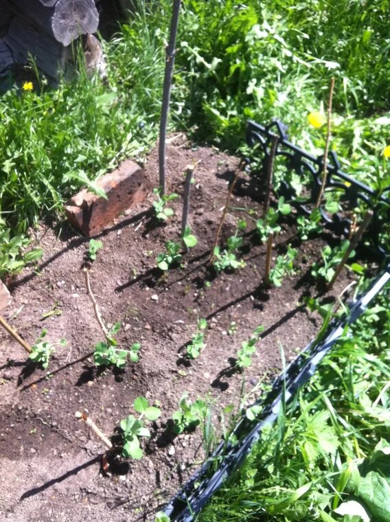 2018. Наш первый сезон