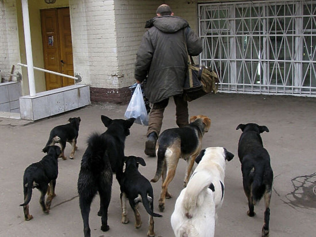 Источник фото: fishki.net