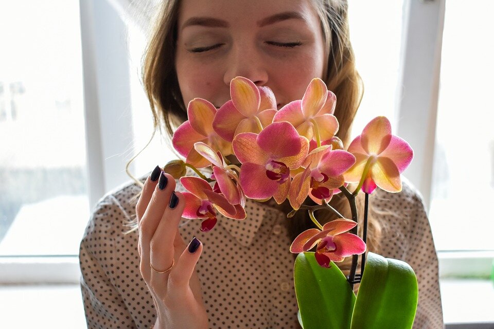 услышать новые ароматы - к любви