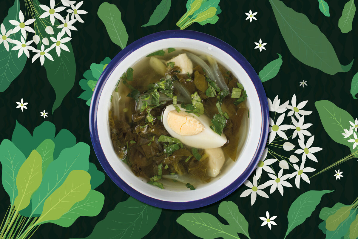 Суп из щавеля классические рецепты - как сварить щавелевый суп