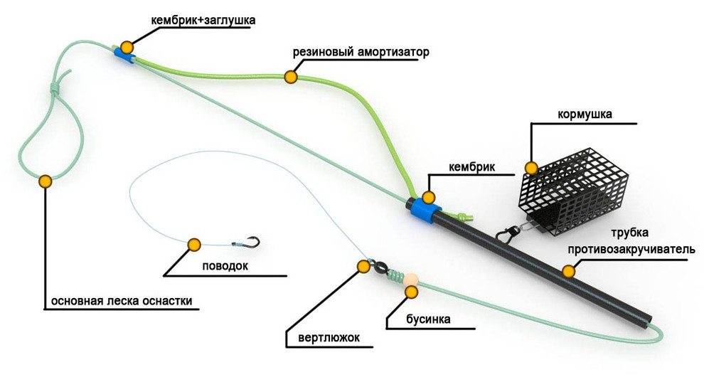 Леска на леща летом