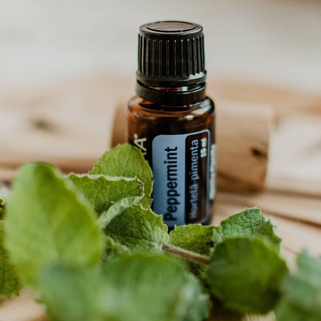 эфир масло. мамлл чистотела натурал. эфирные масла doterra. натуральные масла спб. натуральные эфирные масла.