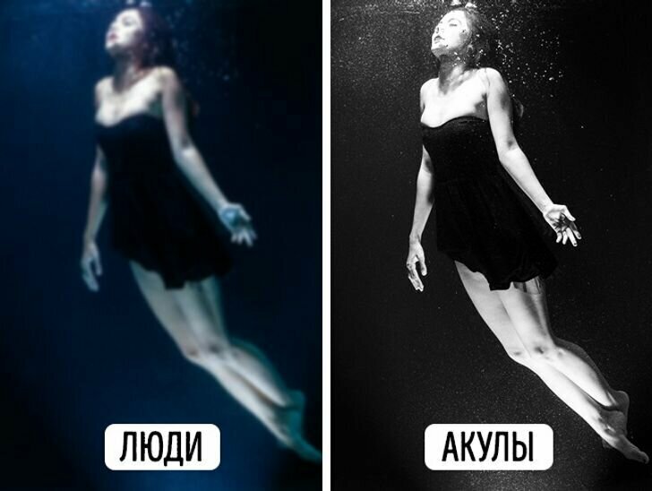 Добавьте описание