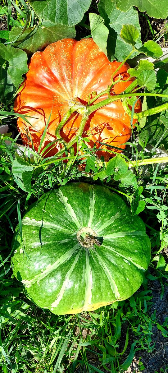 Фото из личного архива автора.