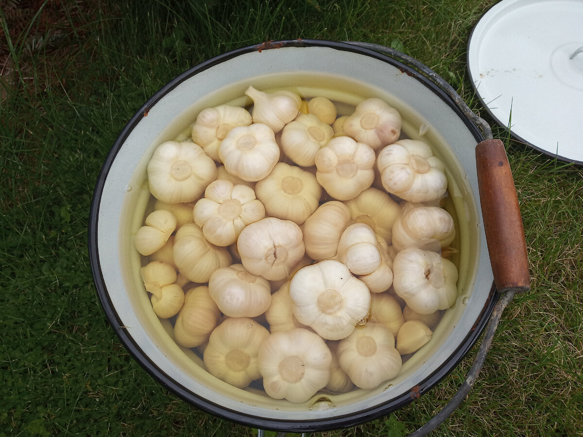 Чеснок маринованный головками как на рынке