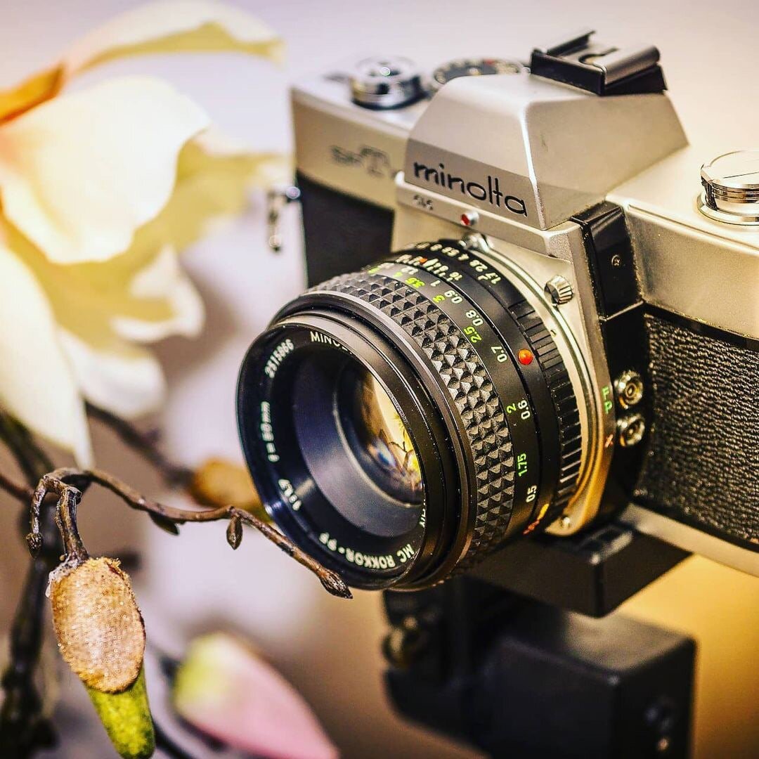 The photo by Liggraphy