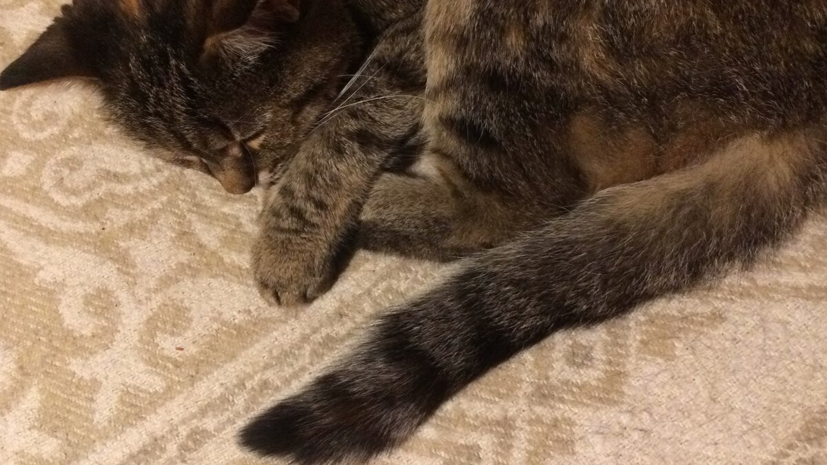 Луша. Фото автора