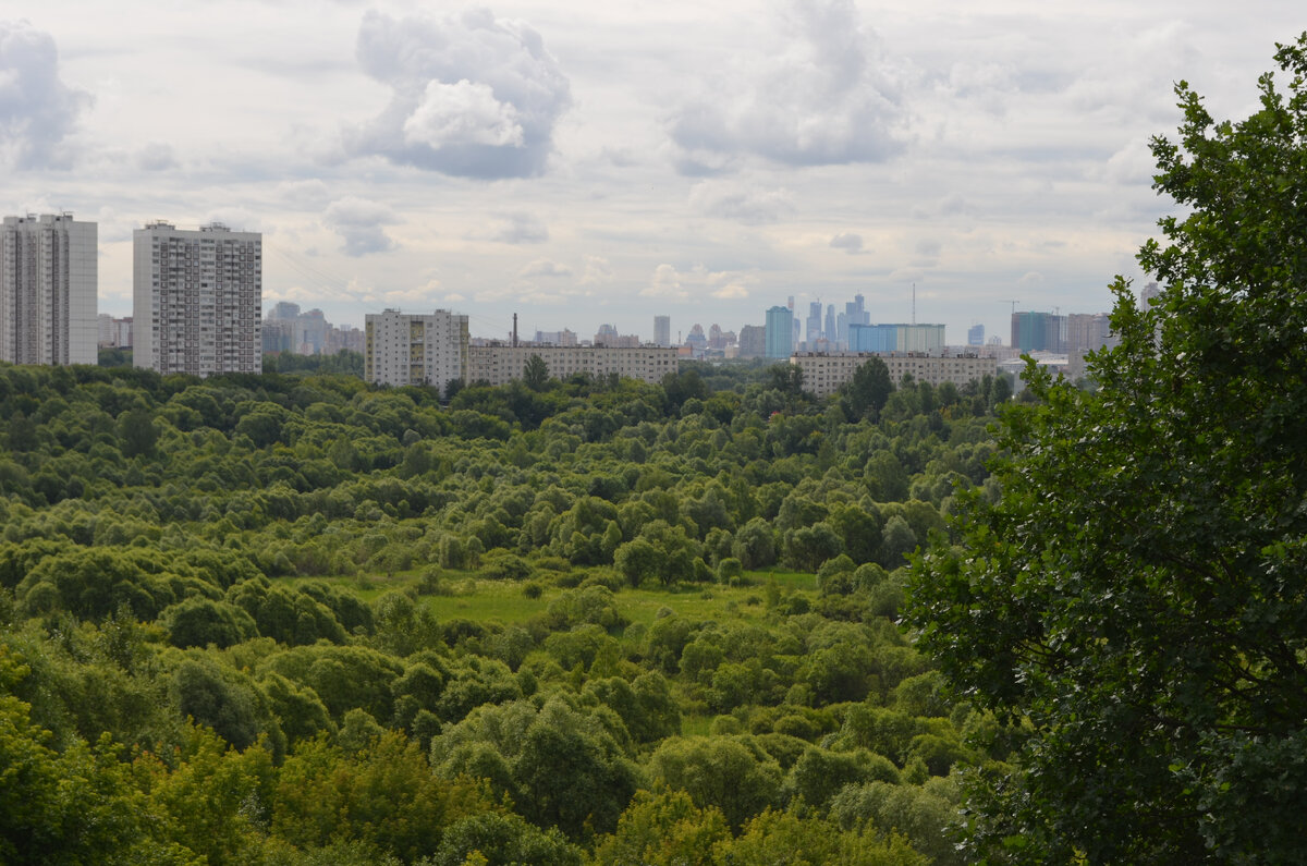 москва ул барышиха 46. красногорск жилой комплекс изумрудные холмы. митино 1995 год фото. москва ул митинская 37. митино тушино.