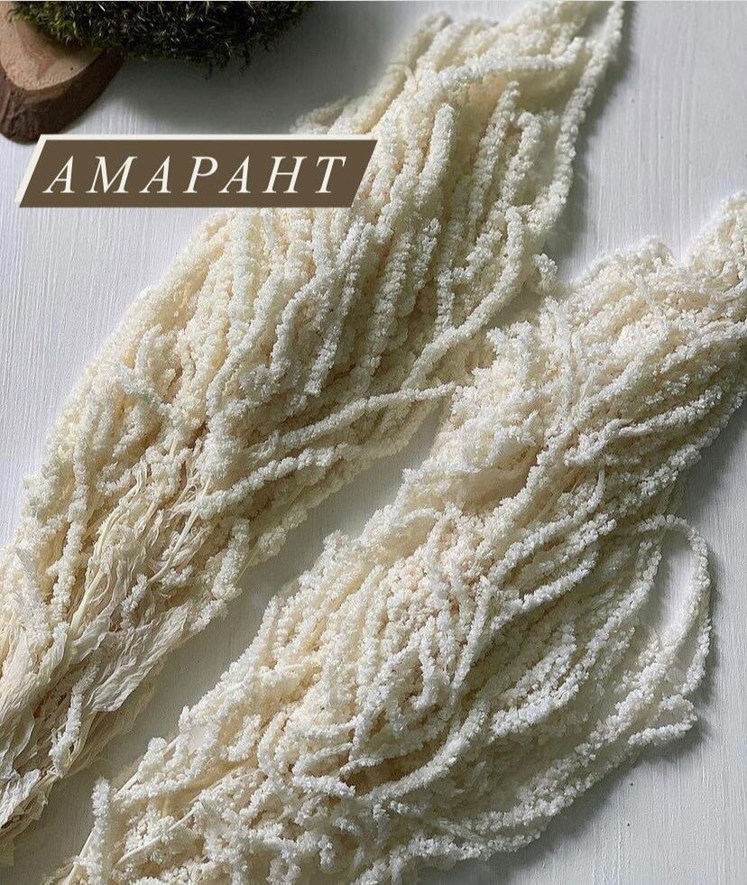 -Описание-                                                                                                                         🌿 Родина- Южная Америка
🌿Внешний вид- пышные пирамидальные соцветия, с крупными сердцевидными листьями и хрупким сочным стеблем.
🌿Сезонность- с мая по декабрь. Самый сезон- лето.
🌿Запах- отсутствует.
🌿Стойкость- высокая (более 2 недель). Также, может использоваться как сухоцвет.
🌿Значимость в букете- может выступать в качестве акцента, но способен составить и основу букета.
                                                                                                                                        -Уход-
🌿Срез- необходимо сделать срез стебля под углом 45 градусов на 1-2 см.
🌿Количество воды- среднее. Для предотвращения появления бактерий в воду можно добавлять каплю доместоса или кризала.
🌿Воду менять ежедневно.
🌿Для того, чтобы в дальнейшем амарант использовать в качестве сухоцвета, необходимо после срезки связать его в пучки и подвесить в сухом, хорошо проветриваемом месте, не допуская попадания прямых солнечных лучей.