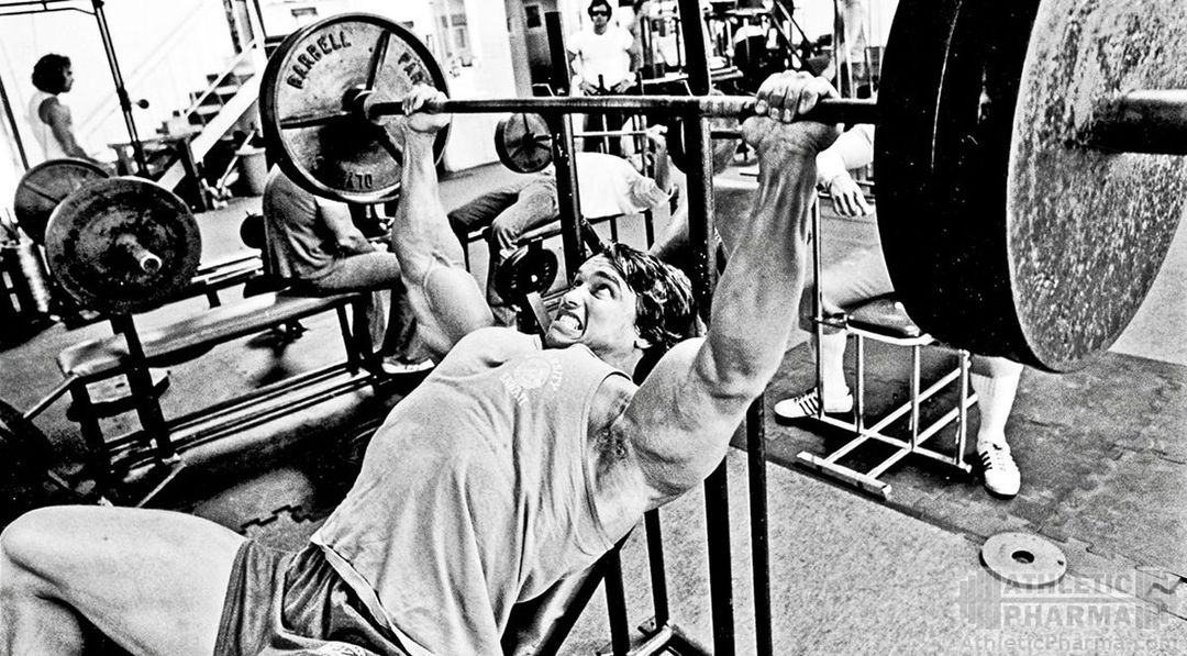 фото взято из открытых источников. 