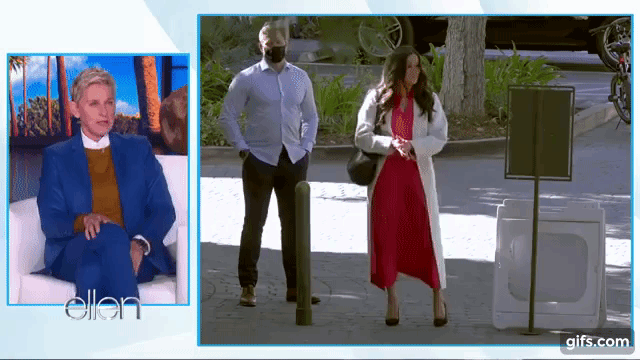 Мадам Раскоряк. Грация кошки.