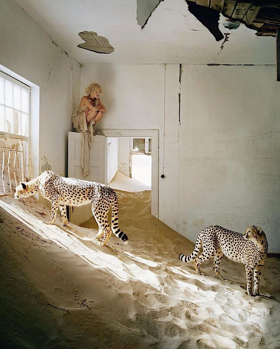 Фото: @timwalkerfans