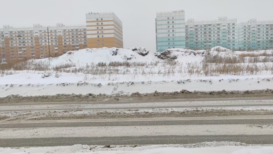 Фото: Мультифора ТВ