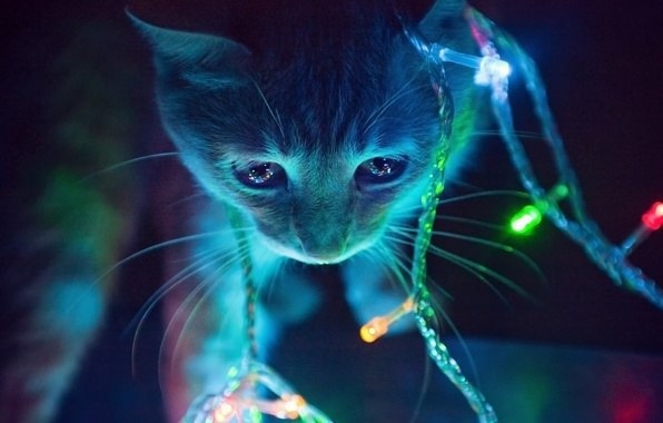 Уже нарядили дом к Новому году?