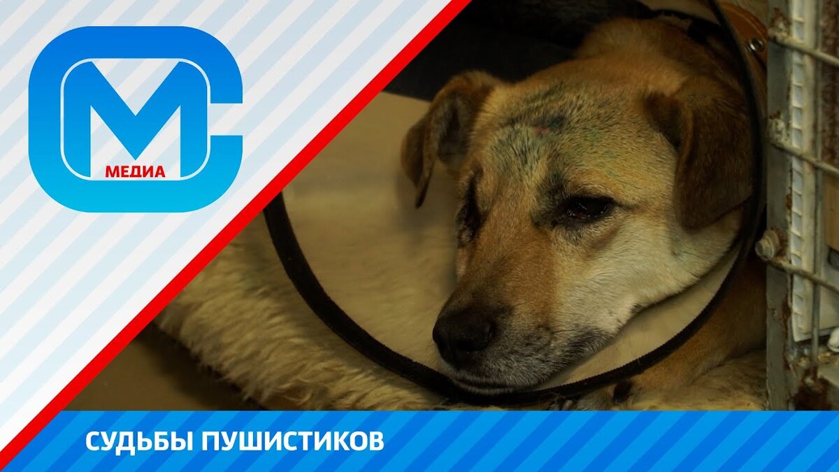 Фото-скрин из ролика СМ https://youtu.be/S3nhRPaCZBU