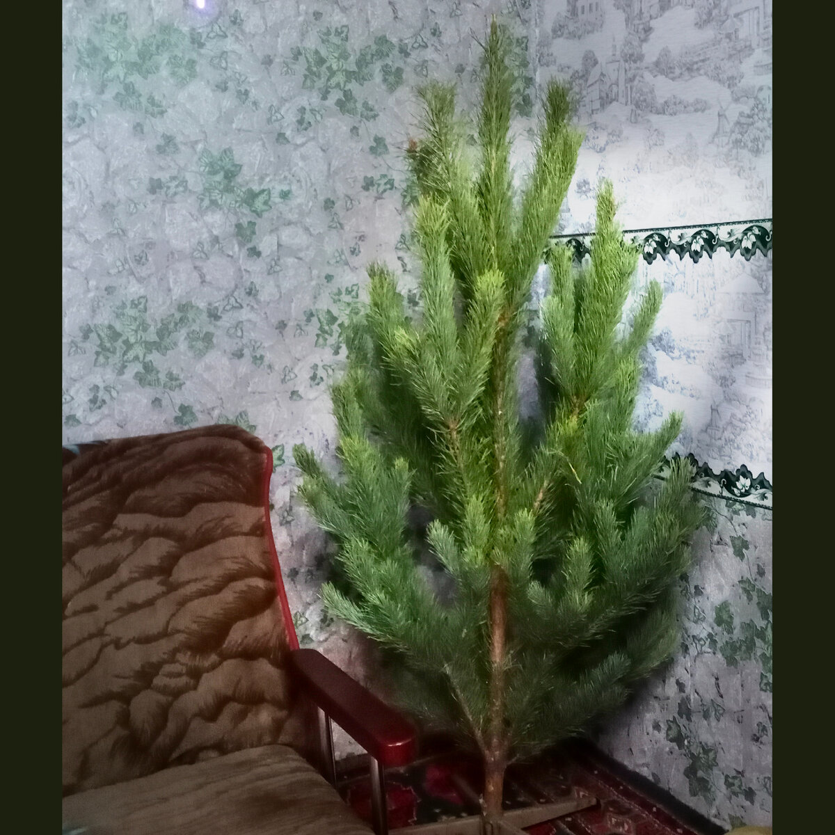 В моей памяти навсегда останутся дети, которых я никогда не прижму к своей груди и не приласкаю. 