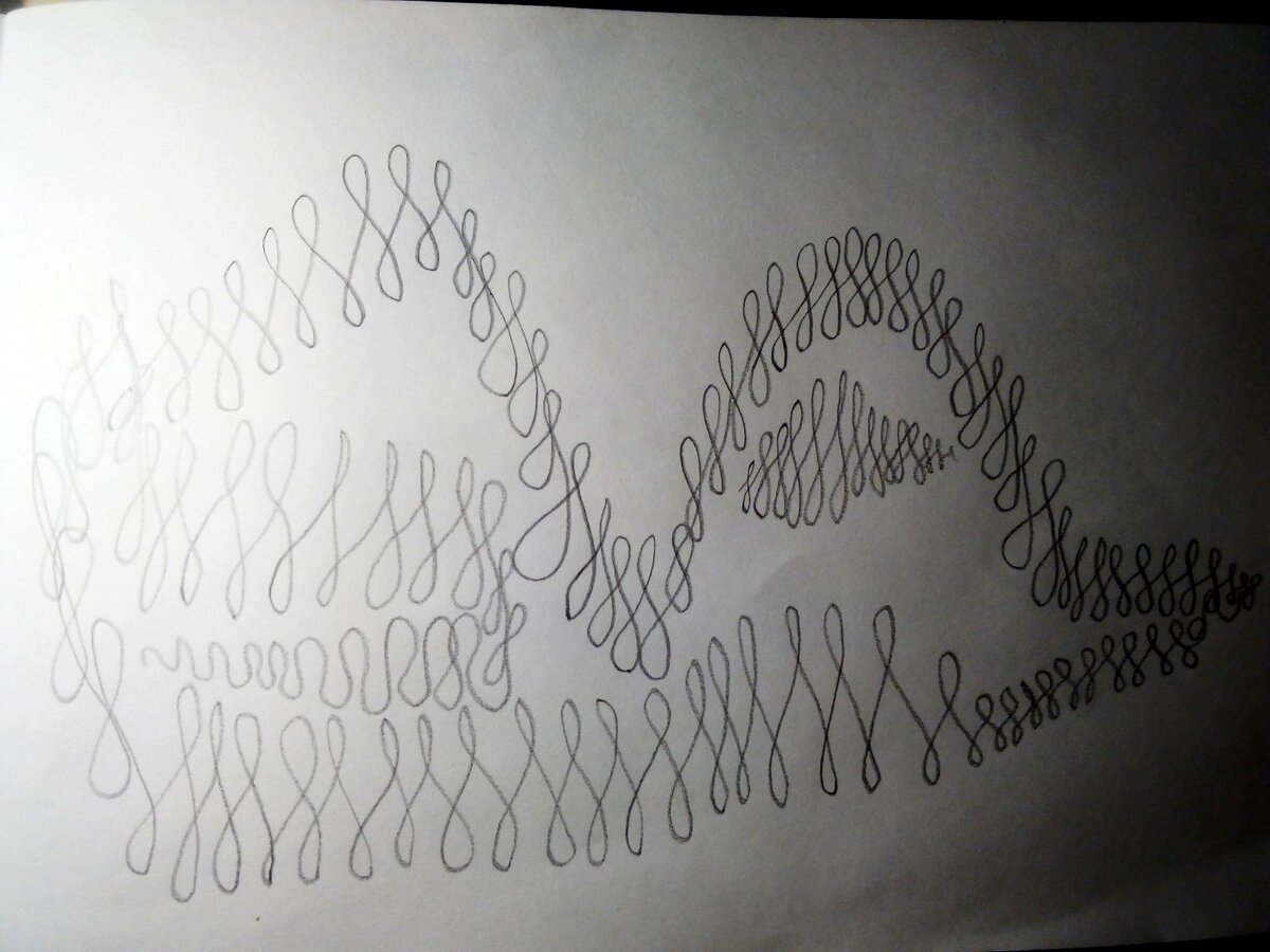 Разминка - птичка