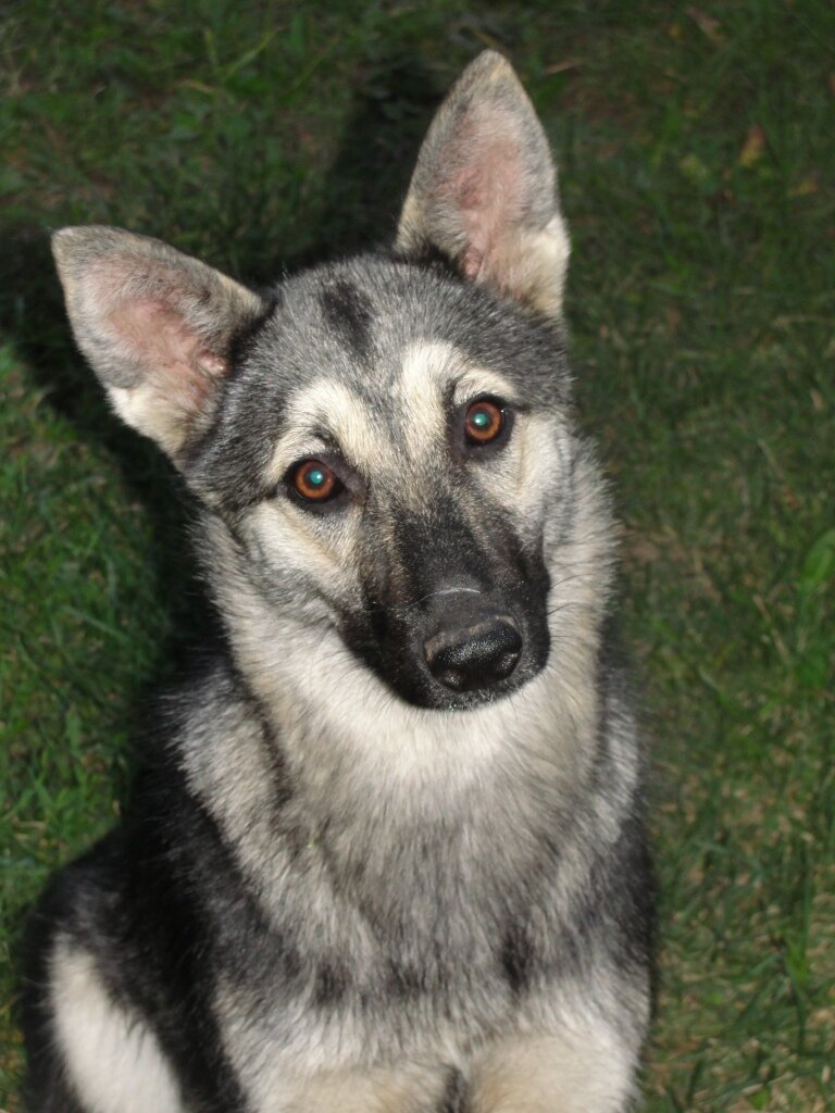 Источник фото: https://m.nn.ru/gallery_367729