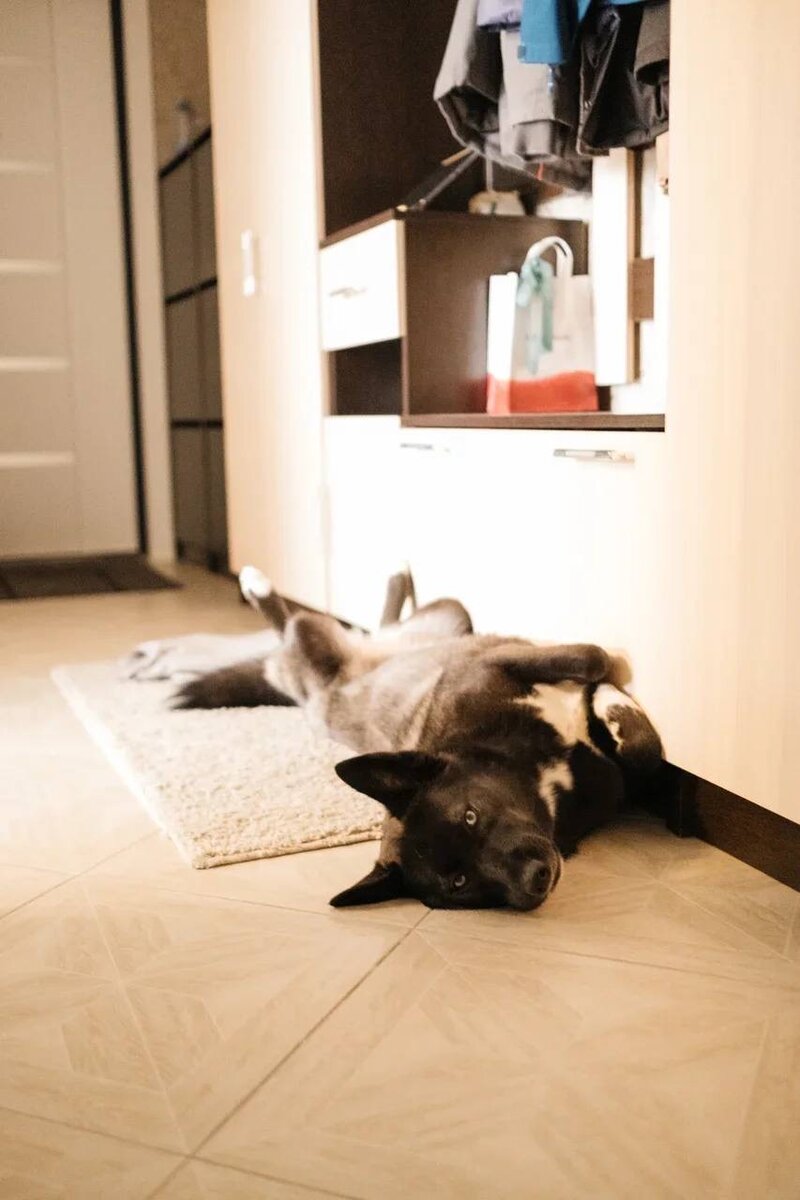 Фотограф - Елена Блинова