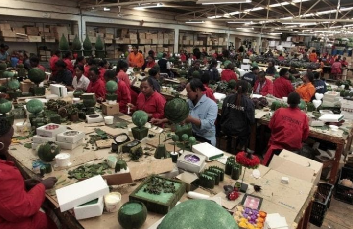 Кенийские рабочие на фабрике по изготовлению стабилизированных растений Vermont Flowers EPZ