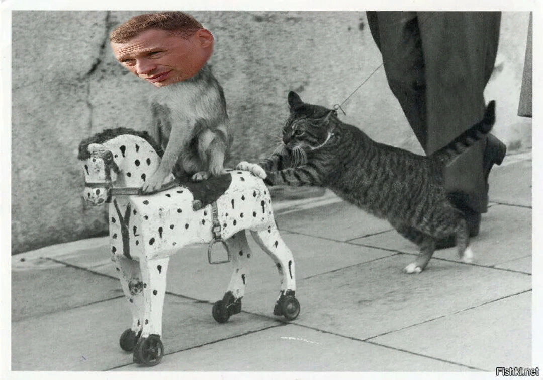 Актуальный мем, если учесть, что прозвище у Сергея Юрана - "Барсик"...