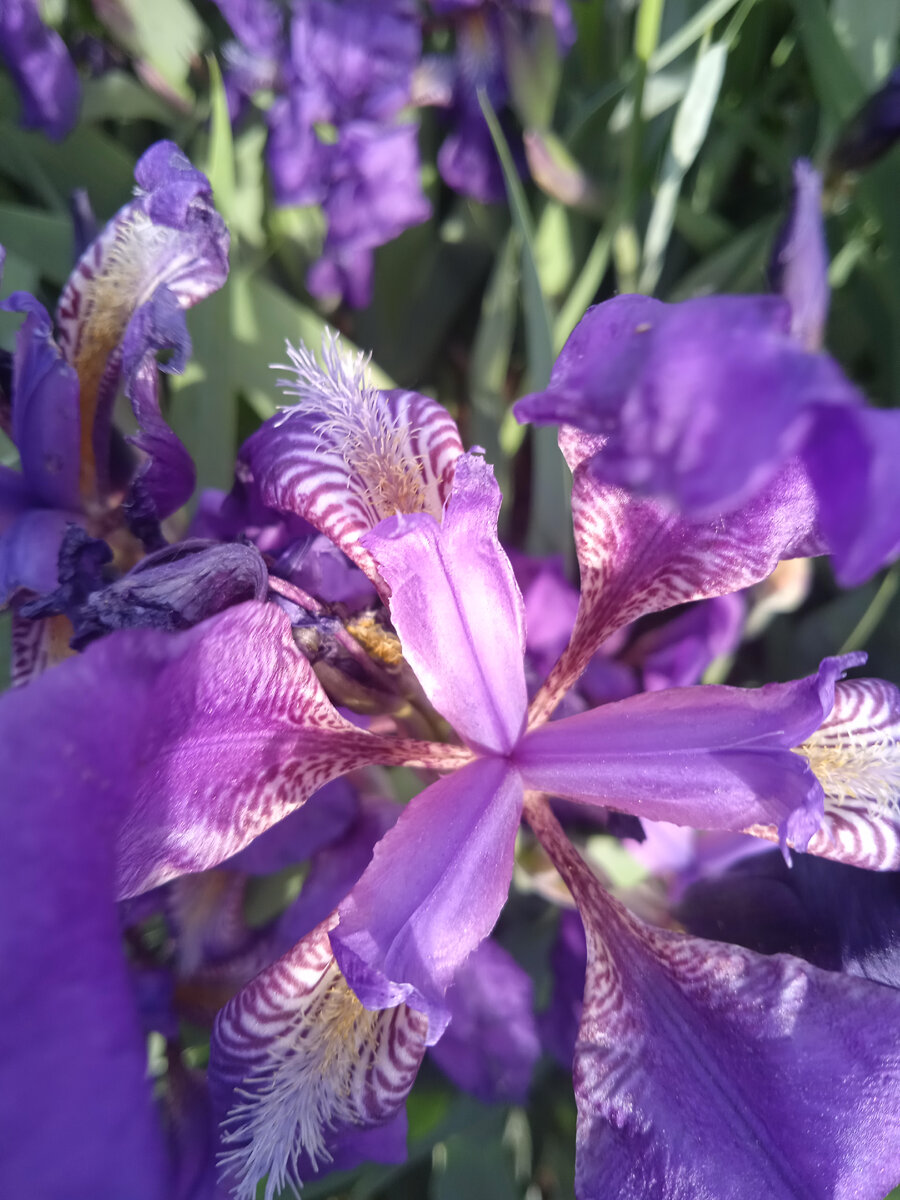 Фото автора. 