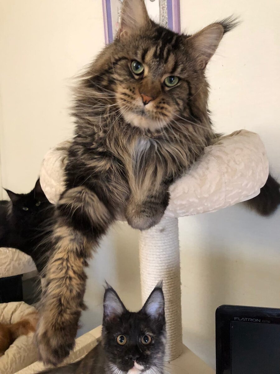 Фото из личного архива.