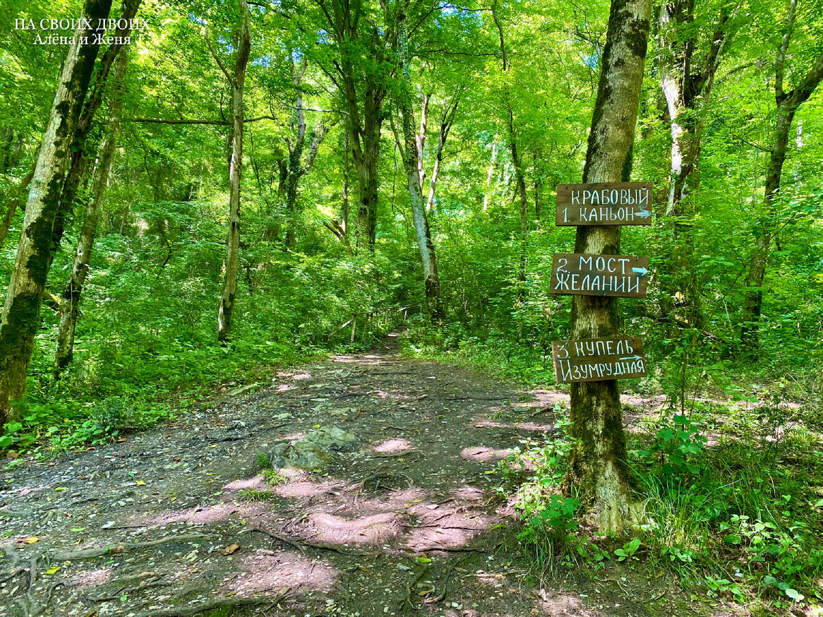 Крабовое ущелье в Лазаревском - еще одно красивое место на курорте, но ...