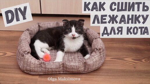 Лежанка для кошки своими руками: 5 простых моделей, которые легко сшить — мамаияклуб.рф