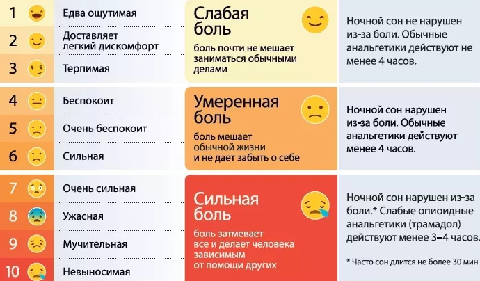 Рис.1. Комплексная шкала оценки боли