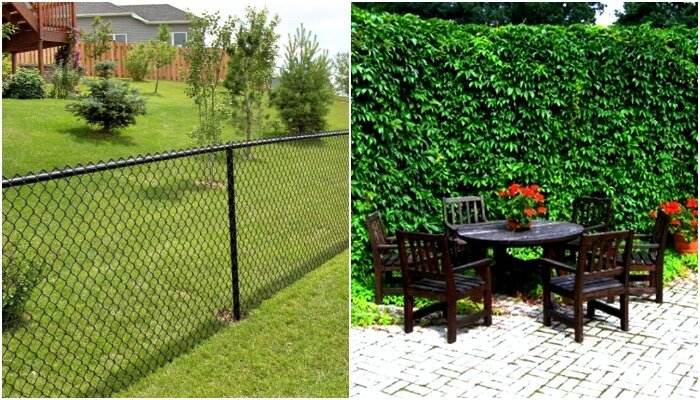 Как спрятаться за сеткой рабица от любопытных взглядов: 7 действенных ...