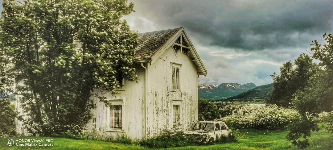 Снято на смартфон HONOR View 30 Pro. Автор: Zaharych. 