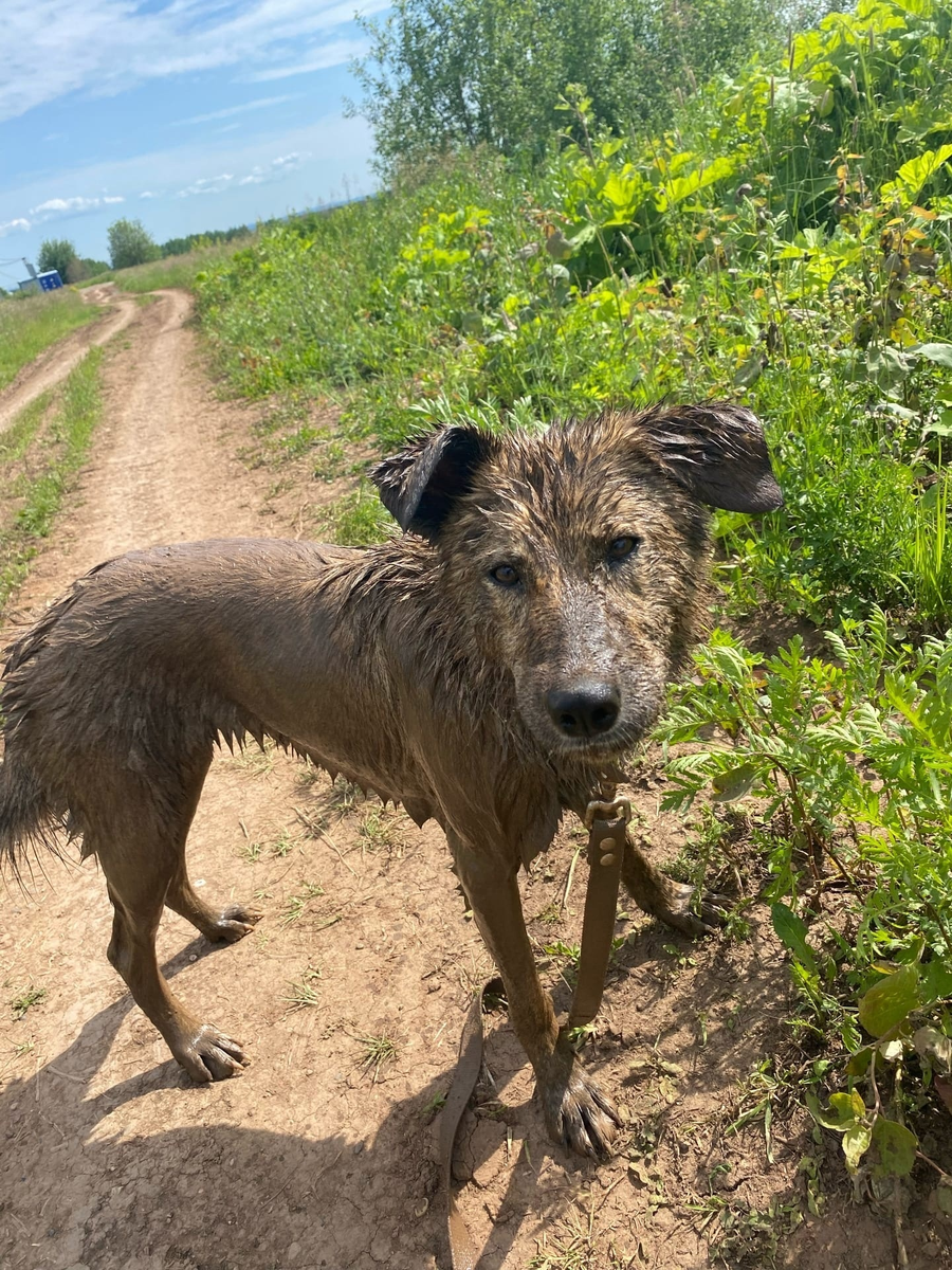Под прикрытием