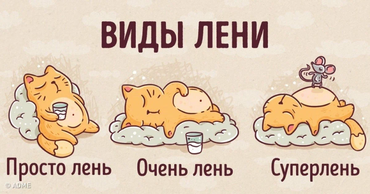 Яндекс Дзен